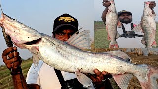 Big Sangara Tengara Fish Fishing Techniques || Wallago Attu Fishing | Ahtesham khan Fishing