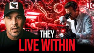 Why Your Doctor Will NEVER Test You For This (The Hidden War)