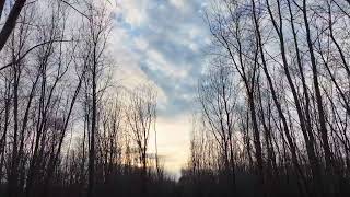 Echo In My Bones (Lyrics)