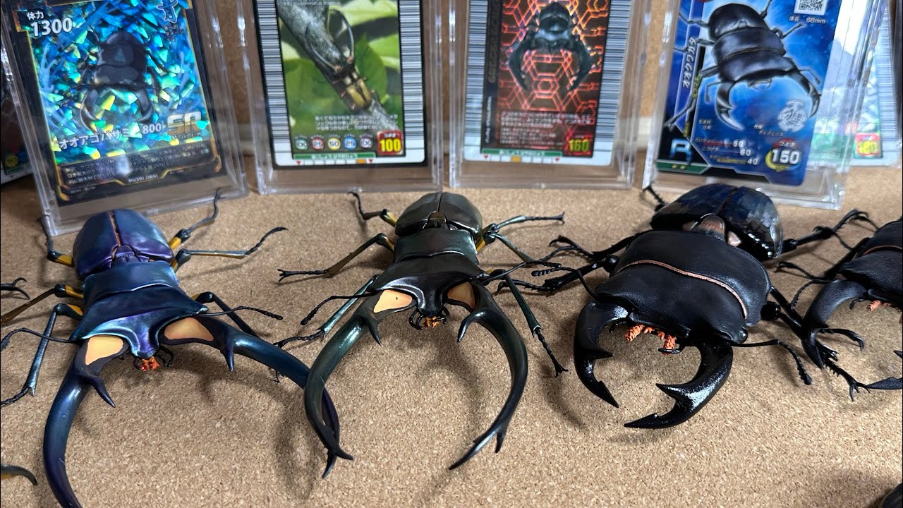 いきもの大図鑑　アドバンス　クワガタ02