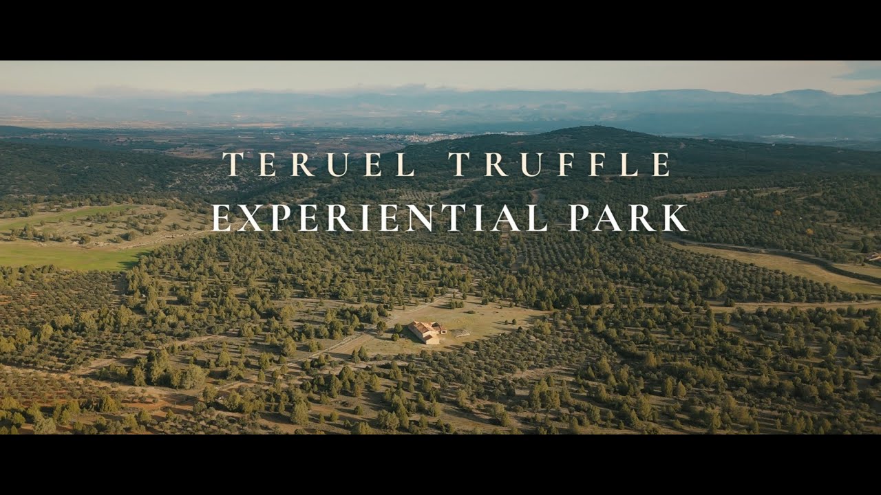 Experiential Park – Black Truffle of Teruel (ENGLISH)