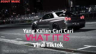 DJ What It Is By Adit Fvnky Rmx || Viral Tiktok 2023 || Yang Kalian Cari Cari