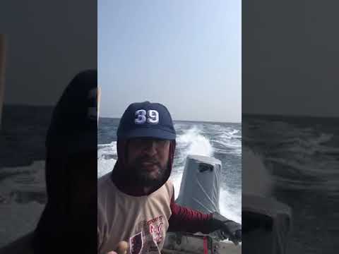 صيد الاخ أبو أحمد السنيدي من سلطنة عمان