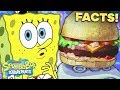 Everything You Need to Know About the KRABBY PATTY! 🍔 SpongeBob