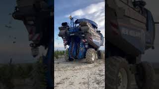 La bestia llegó a La Rioja.Vendimia Treviana, La Rioja España.