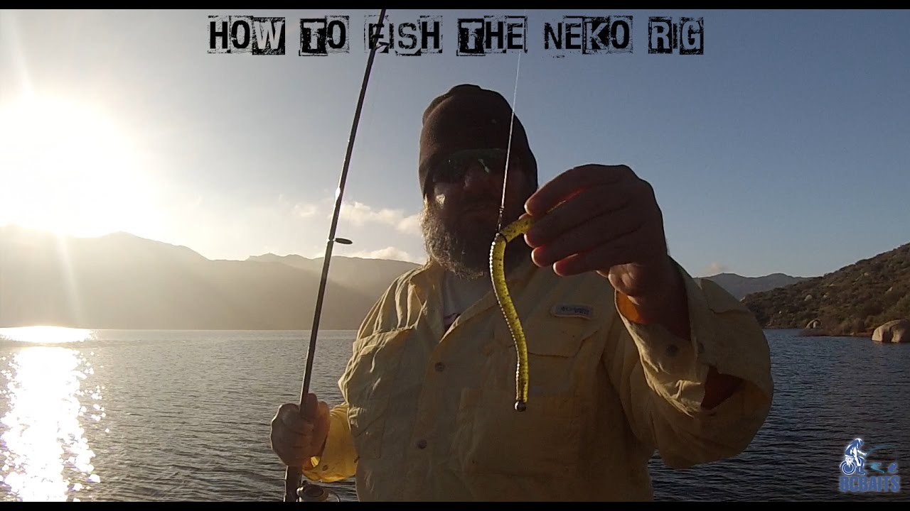 How to Fish The Neko Rig - BCBaits Custom Neko Rig Tungsten Weight ...
