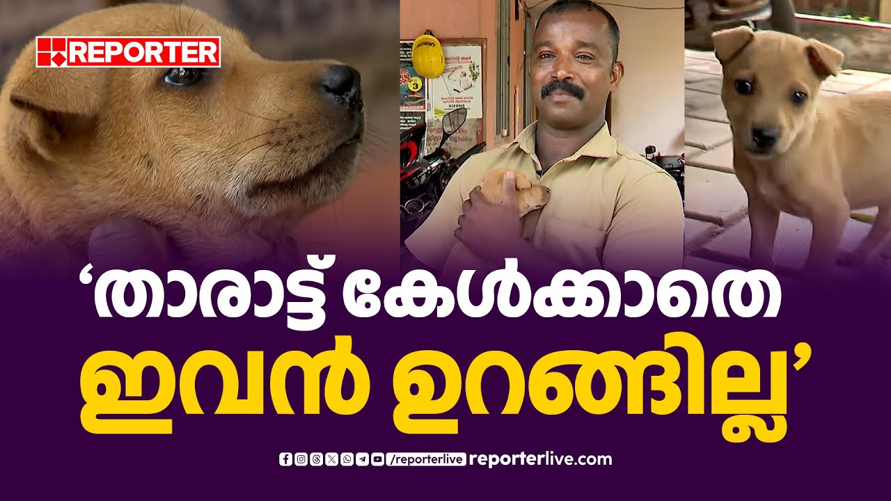 കെഎസ്ഇബി ഓഫീസിന് മുന്നിൽ ടോമിയുണ്ടാകും... ലൈൻമാൻ്റെ വരവും കാത്ത് | Kasargod