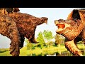 TORTUGA CAIMAN vs TORTUGA LAGARTO | ¿Quién Ganaría? | EPIC VERSUS 🐢🐊🆚🐢🦎