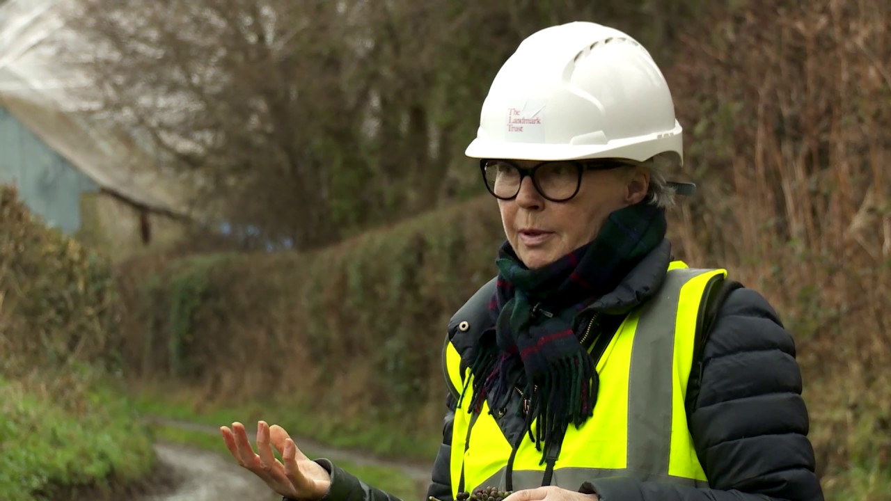 Toril Brancher - Artist in Residence at Llwyn Celyn