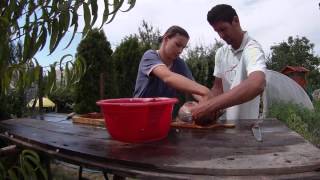 How to clean the fish /timelapse by CamOne Infinity - 1 fps/