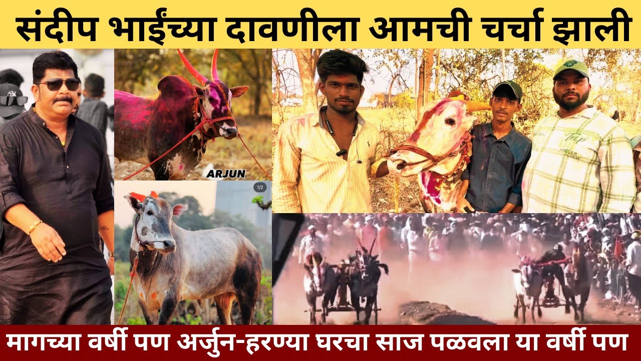 हरण्या फक्त संदीप भाईंच्या दावणीलाच दिसेल दुसऱ्या कोणाच्याही नाही,हा शब्द आहे आमची चर्चेत झाली ४१४२💯