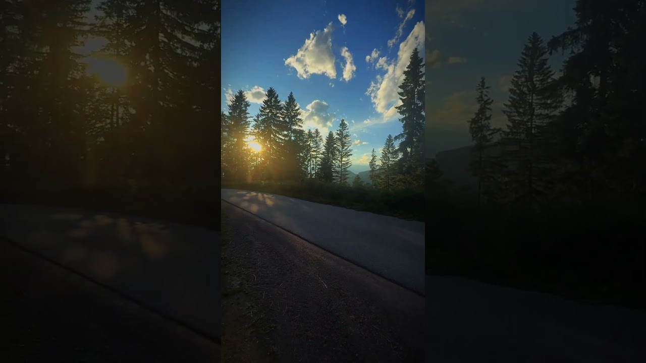 Warum Zirbenholz nicht fault – selbst nach Jahrzehnten. 