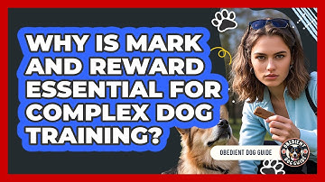 Why Is Mark And Reward Essential For Complex Dog Training? - Obedient Dog Guide