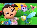 Bugs Bugs Song + More Nursery Rhymes By Boom Buddies
