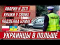 В Польше снова отличились украинцы