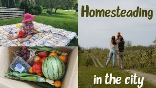 LEARNING TO HOMESTEAD IN THE CITY // slow & peaceful living, vegetable gardening, baking sourdough