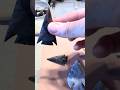 Auction Reminder For 06/06/2026 See Auction Video To Join In. #arrowheads #flintknapping
