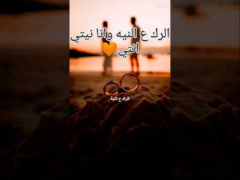 تامر عاشور يا صغيره علي الحب حالات واتس لا تفوتك