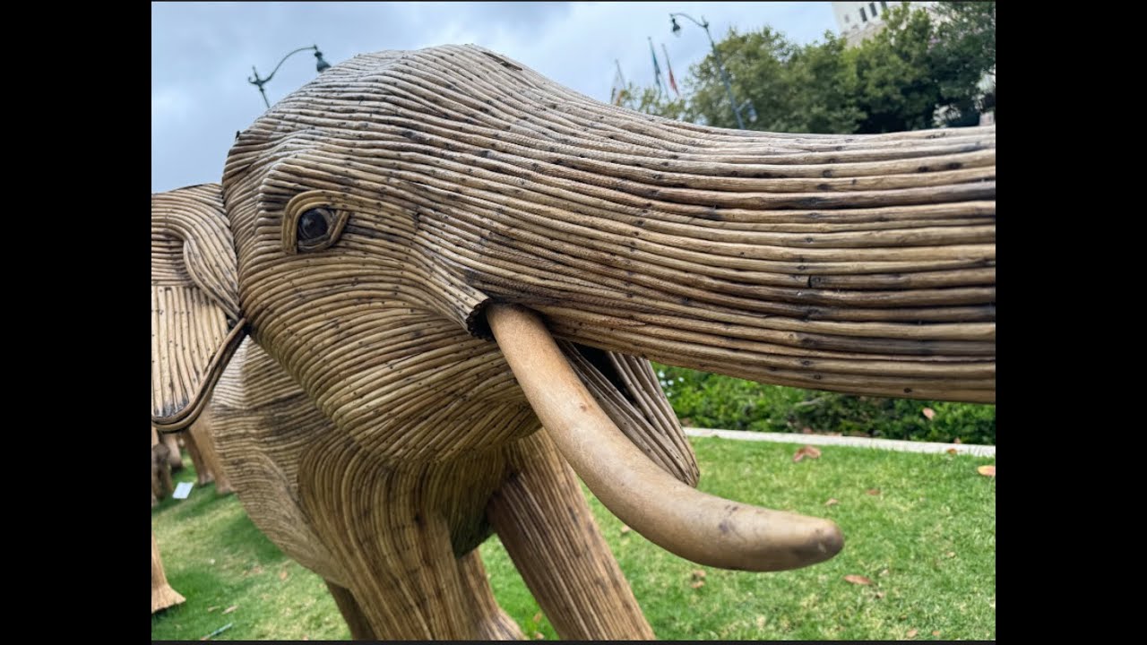 The Great Elephant Migration in Beverly Hills