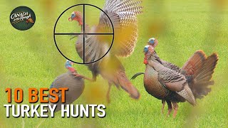 10 BEST Turkey Hunts! | ULTIMATE Turkey Hunting Compilation (Under 10 Minutes)