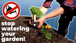 Stop Watering Your Garden!