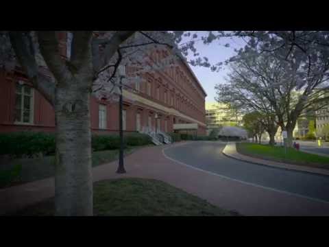 Video: Guida al National Building Museum di Washington DC
