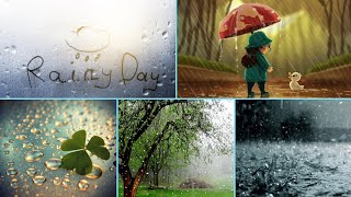 Rain dpz for WhatsApp | Beautiful rainy images #dpz  #rain #pics