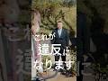 意外と知られていない交通ルール第1位がこちら#shorts