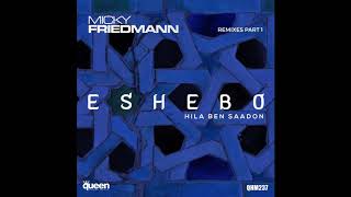 Micky Friedmann feat. Hila Ben Saadon- Eshebo - BELLADONNA remix Resimi