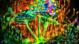 Ozric Tentacles - Curious corn