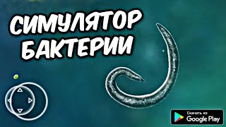 СИМУЛЯТОР БАКТЕРИИ И СПОР НА АНДРОИД ОБЗОР BIONIX ANDROID GAMEPLAY 2021 screenshot 3