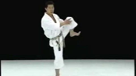 Mawashi geri