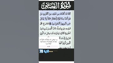 سورة القصص الآية 78 #قرآن #quran #islam #islamicstatus
