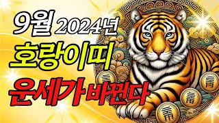 호랑이띠 9월 운세! 2024년 갑진년 운세가 바뀝니다, 87세, 75세, 63세, 51세, 39세, 27세,  #호랑이띠운 #호랑이띠운세 #범띠운세