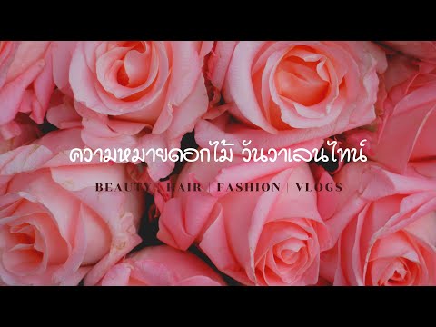 ดอกไม้ วันวาเลนไทน์​ I Valentine​ Day 🌹💐💕💖 EP.104