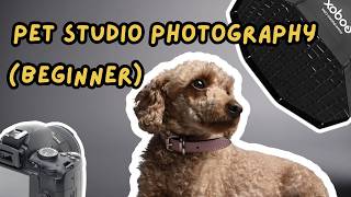 Setting Up a Studio for Pet Photography