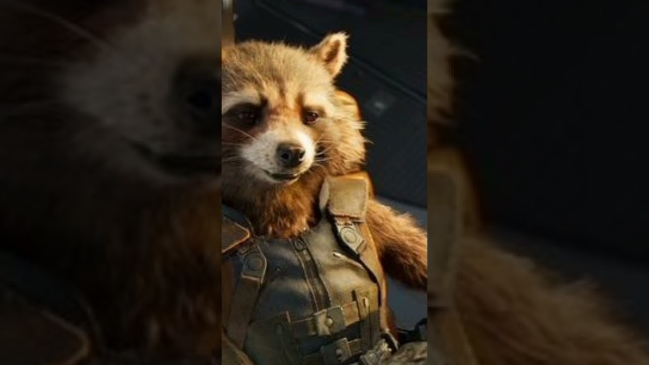 rocket Raccoon