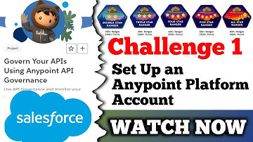 Set Up an Anypoint Platform Account || Govern Your APIs Using Anypoint API Governance || Challenge 1