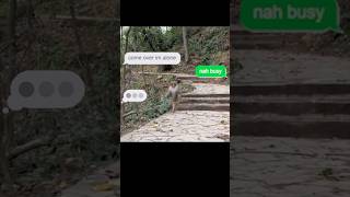 this monkey has got priority's straight 😤😤😤