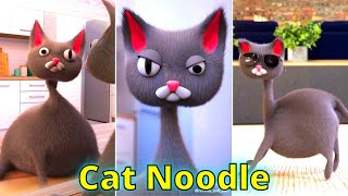 Cat Noodle and Bun. Cat Noodle TikTok Compilation