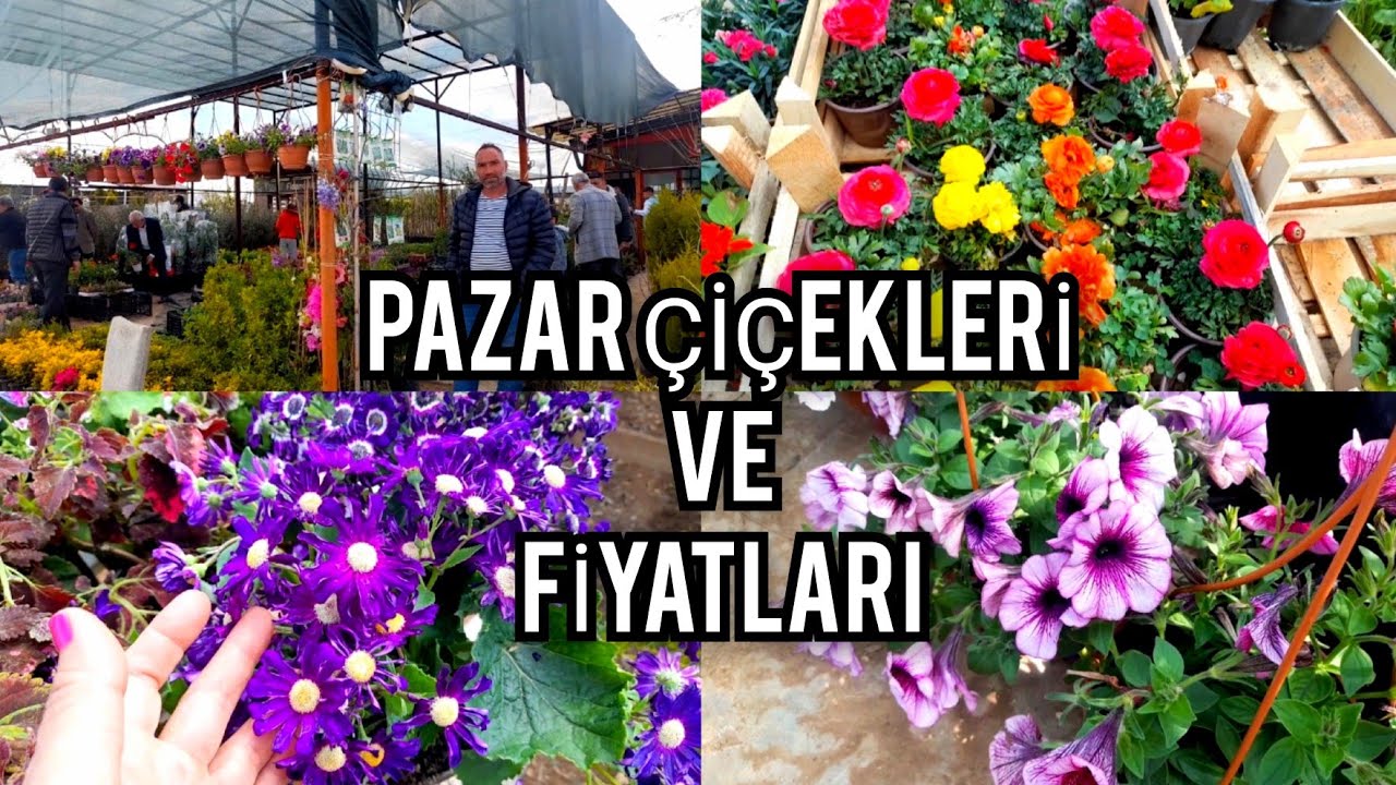 ÇİÇEK PAZARI FİYATLARI-CİDONUN YERİ🌹🍀🌻#çiçekfiyatları#çiçekpazarı