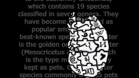 How to get Chomnipedia in Roblox FTC