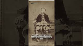 The Four Legged Lady