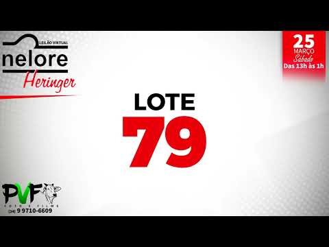 LOTE 79