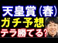 天皇賞(春)ガチ予想！武豊騎手のアドマイヤテラは勝てる？クロワデュノール、ヘデントールの状態は？
