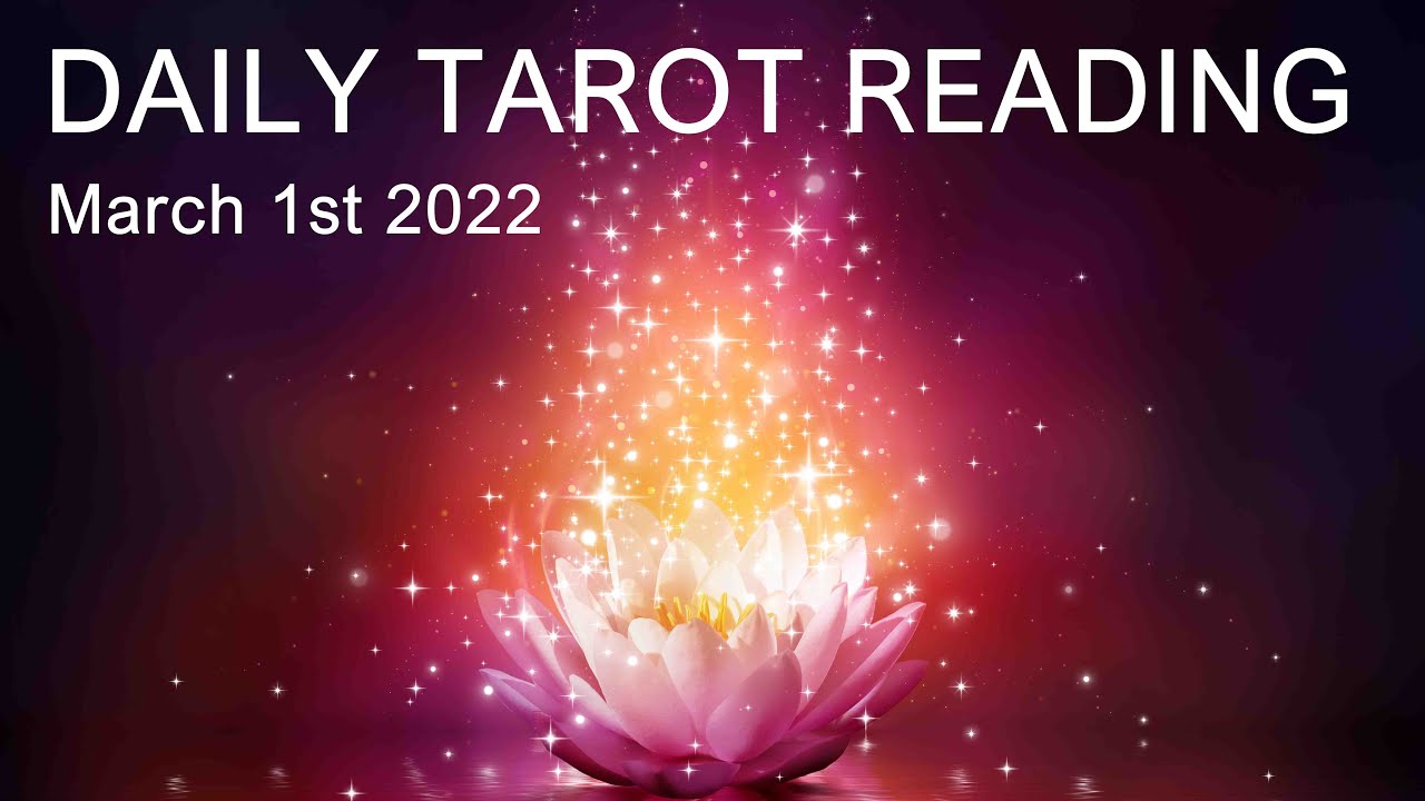 DAILY TAROT READING "SOMEONE'S ON THE UP AN INCREASE!" March 1st 2022