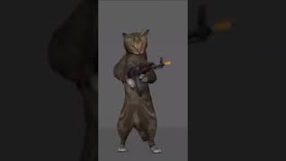 Cat Tries Ak47