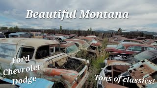 Massive Montana Wrecking Yard Walkthrough! Tons of Classic cars!