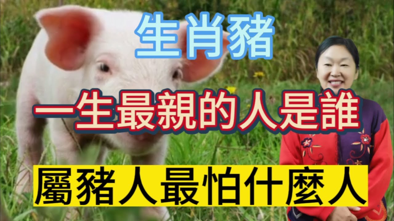 生肖豬！一生最親的人是誰？屬豬人最怕什麼人？