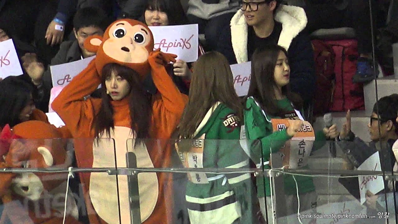 160118 에이핑크 '메인 오프닝' 아이돌선수권대회 직캠 by앙칼